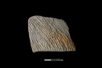 陶片藏品圖，第1張